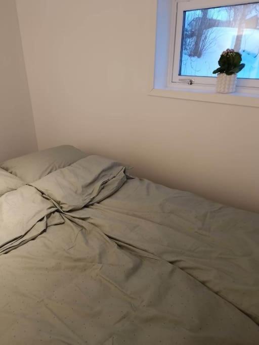 Cozy Apartment Close To Downtown Tromso Ngoại thất bức ảnh
